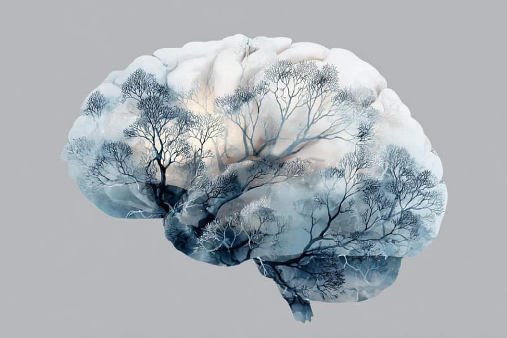 Common Antidepressant Eases Core Symptoms Within Two Weeks common antidepressant eases core symptoms within two weeks