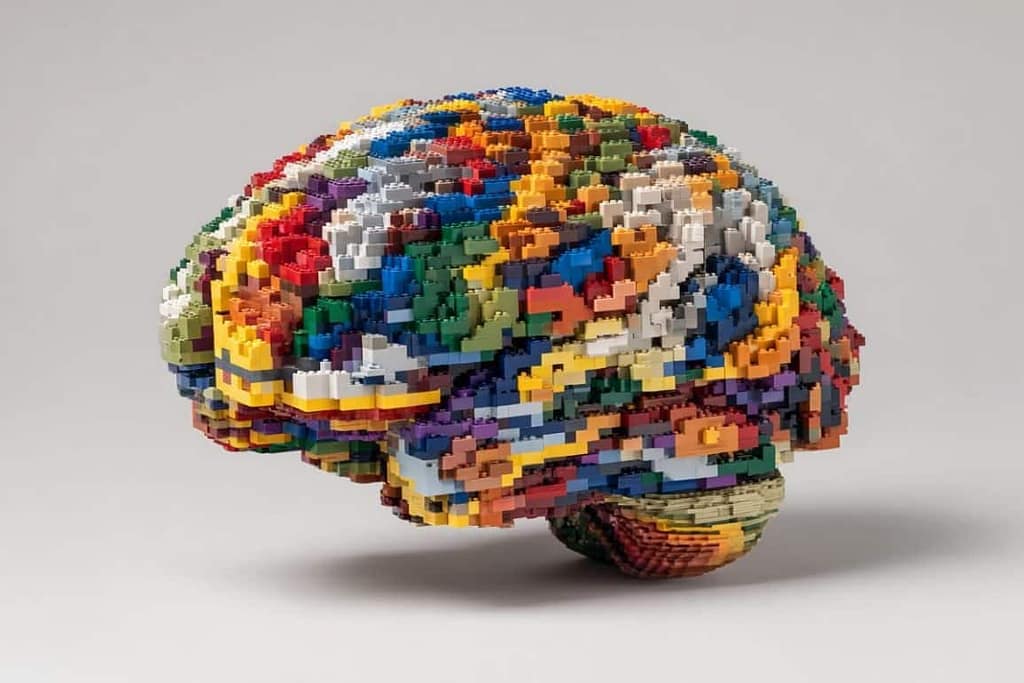 Brain Rebuilds New Skills Using “Cognitive LEGO Blocks” brain rebuilds new skills using “cognitive lego blocks”