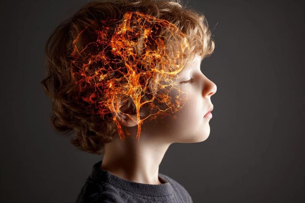 Missing Brain Receptor May Hold the Key to Autism missing brain receptor may hold the key to autism
