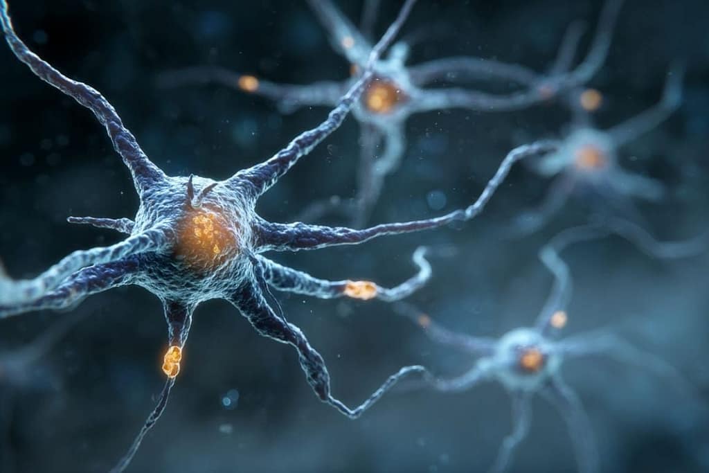 Immune Signal Ratio May Predict Progressive Multiple Sclerosis immune signal ratio may predict progressive multiple sclerosis