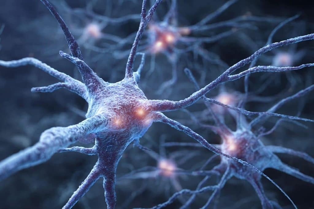Brain Tumor Pressure Triggers Neuron Death Pathways brain tumor pressure triggers neuron death pathways