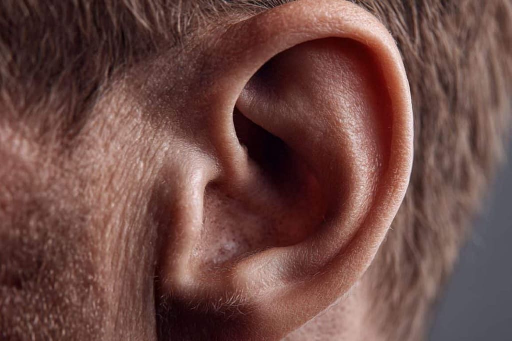 Hidden Cause of Permanent Hearing Loss Identified hidden cause of permanent hearing loss identified