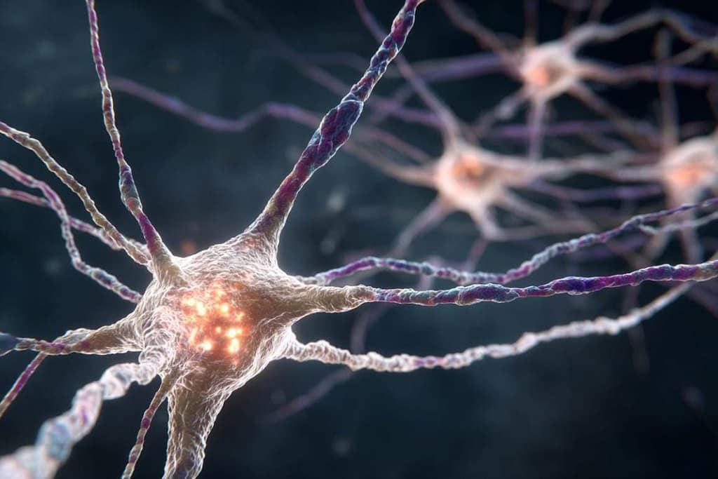 Parkinson’s Protein Turbocharges Alzheimer’s in Women parkinson’s protein turbocharges alzheimer’s in women