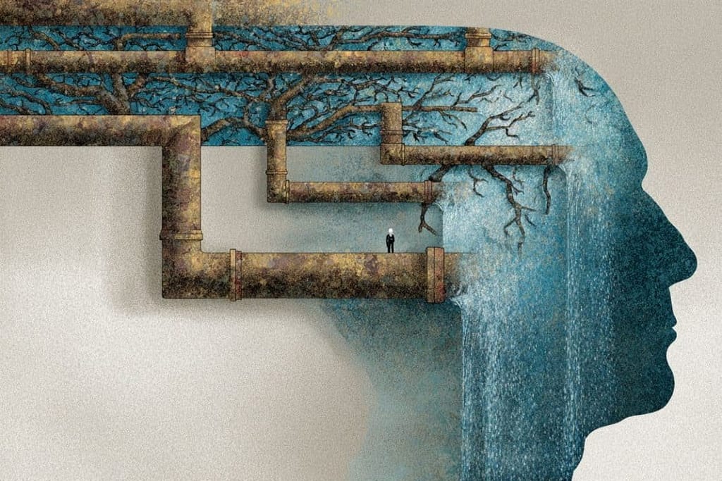 Brain’s Clogged Pipes: A Surprising New Link to Hallucinations brain’s clogged pipes: a surprising new link to hallucinations