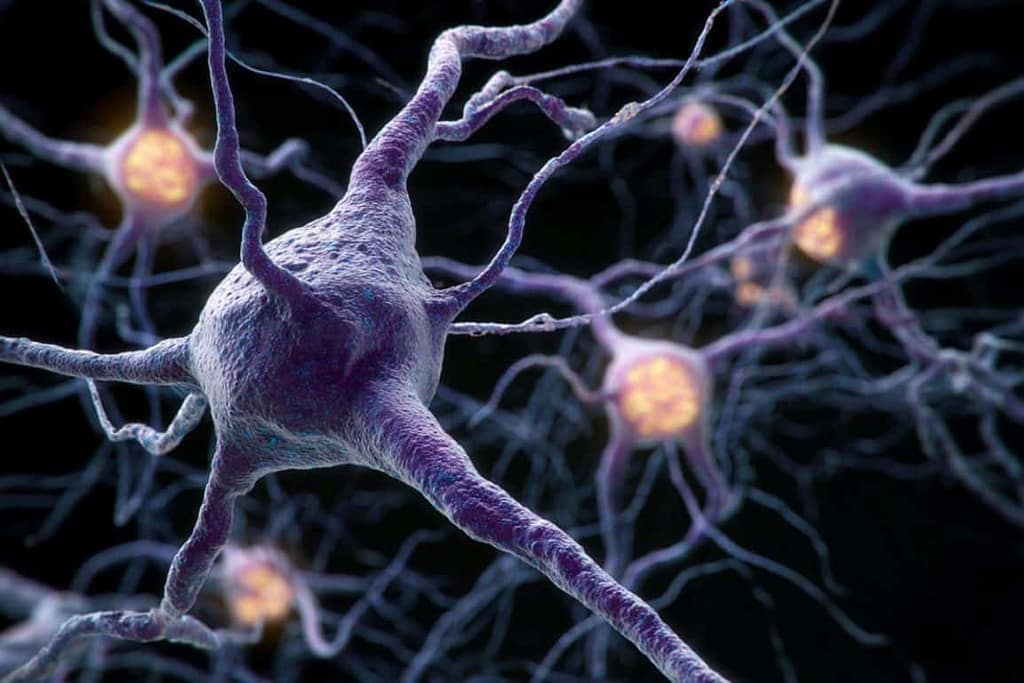 Multiple Sclerosis Prevalence Doubled in Two Decades multiple sclerosis prevalence doubled in two decades