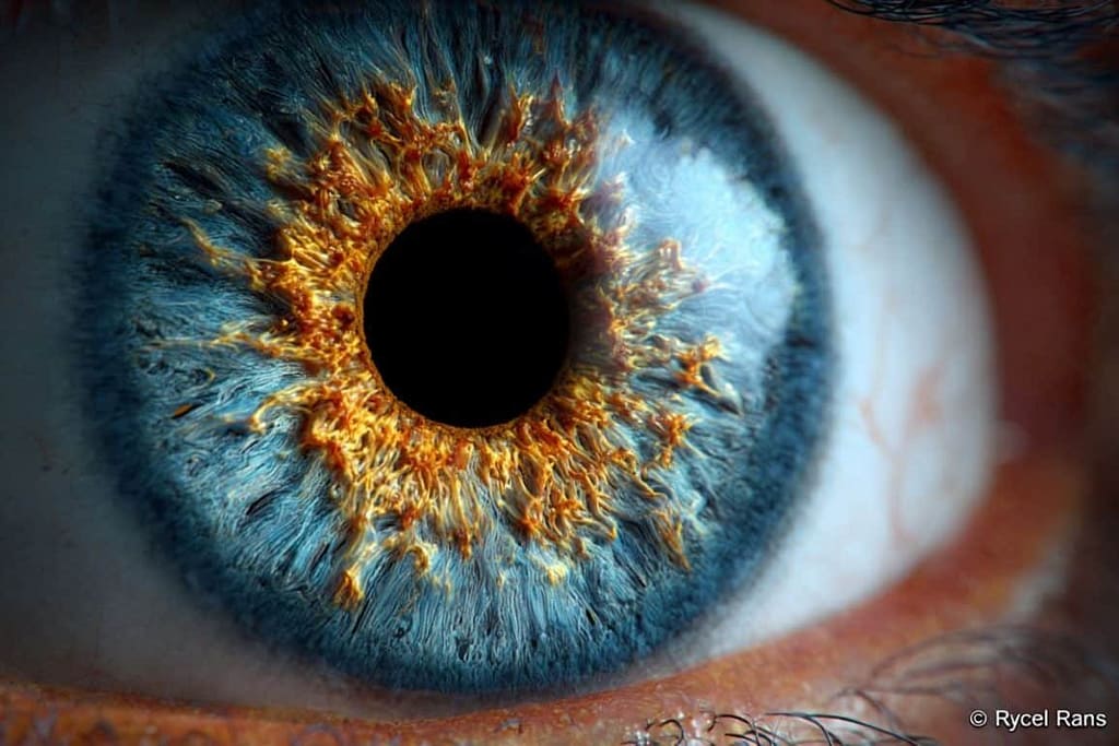 Vision Rescued: How Stem Cells “Rehabilitate” the Dying Eye vision rescued: how stem cells “rehabilitate” the dying eye