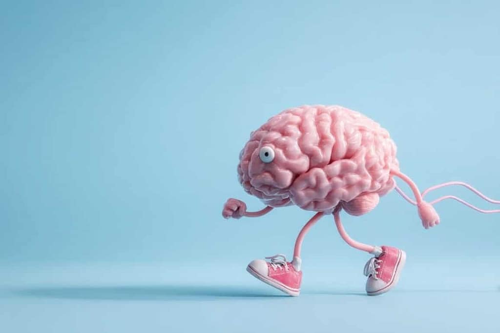 Brain’s Endurance Program: Hypothalamus Remembers Exercise brain’s endurance program: hypothalamus remembers exercise