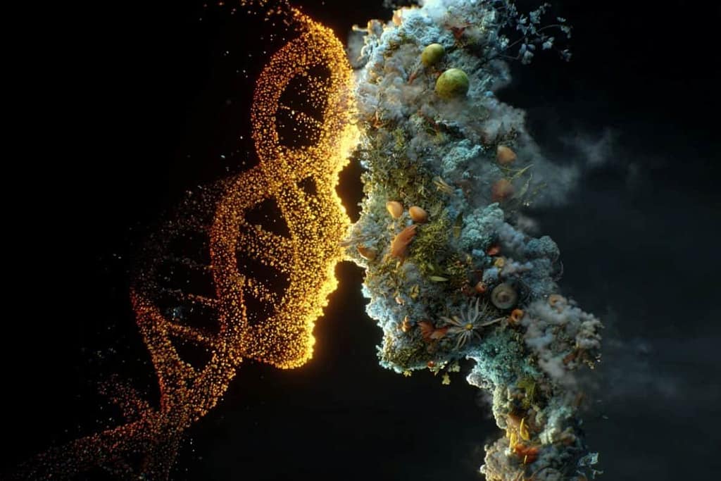 100,000 Small Factors Rival DNA in Disease Risk 100,000 small factors rival dna in disease risk