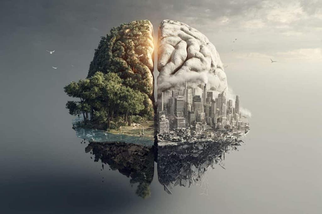 How Your Neighborhood and Nation Shape Your Brain’s Age how your neighborhood and nation shape your brain’s age