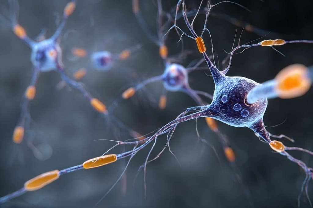 Blood Proteins Identified That Predict Multiple Sclerosis Early blood proteins identified that predict multiple sclerosis early