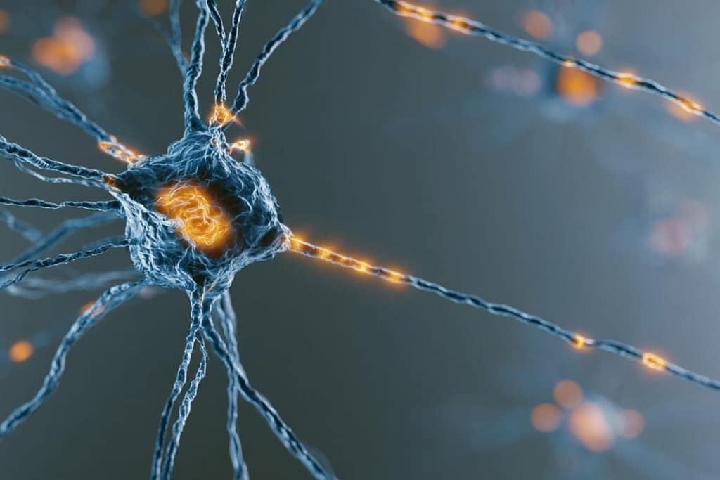 Nanosensor Separates Autism From Intellectual Disability nanosensor separates autism from intellectual disability