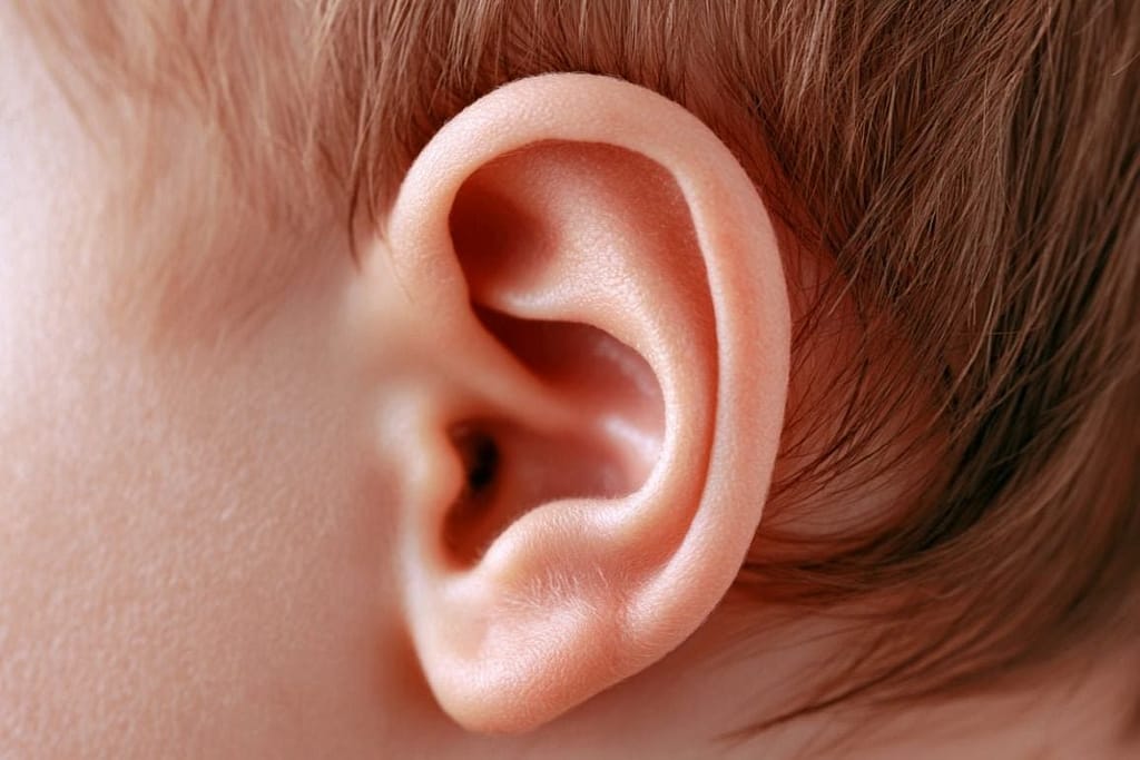 Genetic Study Links Ménière’s Disease to Ear Development genetic study links ménière’s disease to ear development
