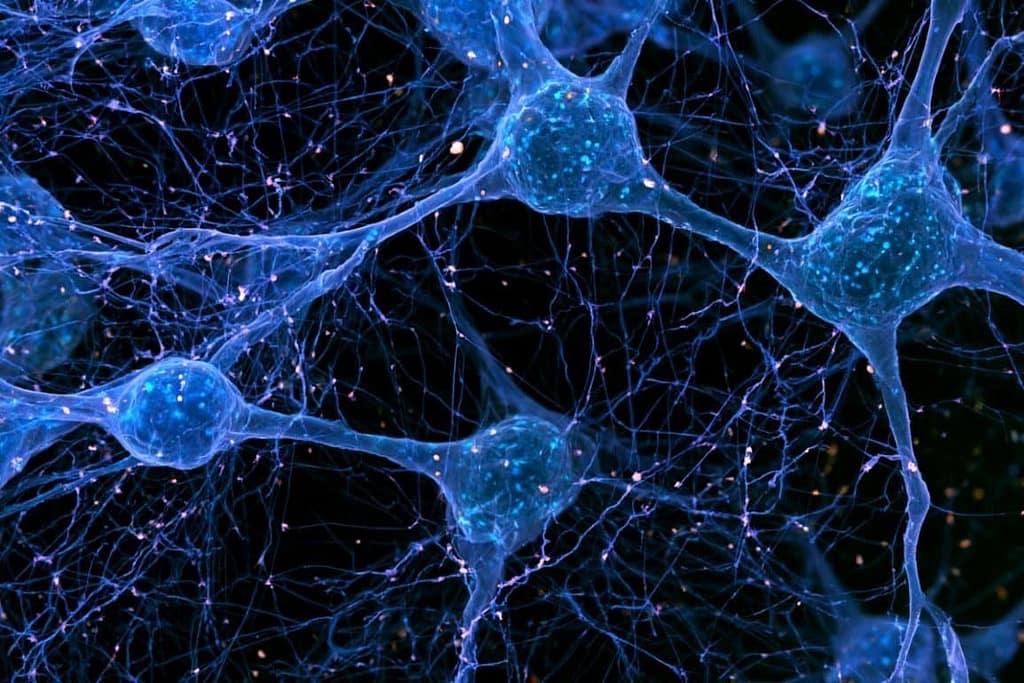Disrupted Neuronal Microexons Drive Hyperarousal and Insomnia disrupted neuronal microexons drive hyperarousal and insomnia