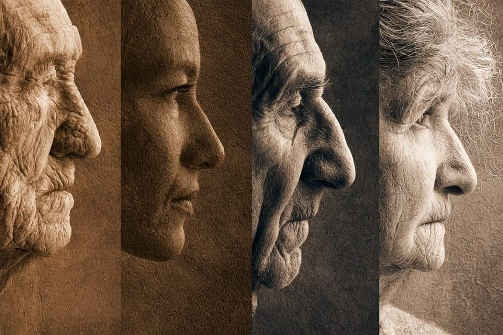 Social Inequality Accelerates Biological Aging social inequality accelerates biological aging