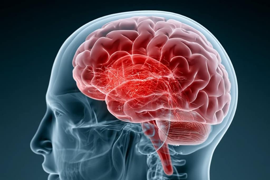 Concussions Convert Brain Stabilizers Into Disruptive Forces concussions convert brain stabilizers into disruptive forces
