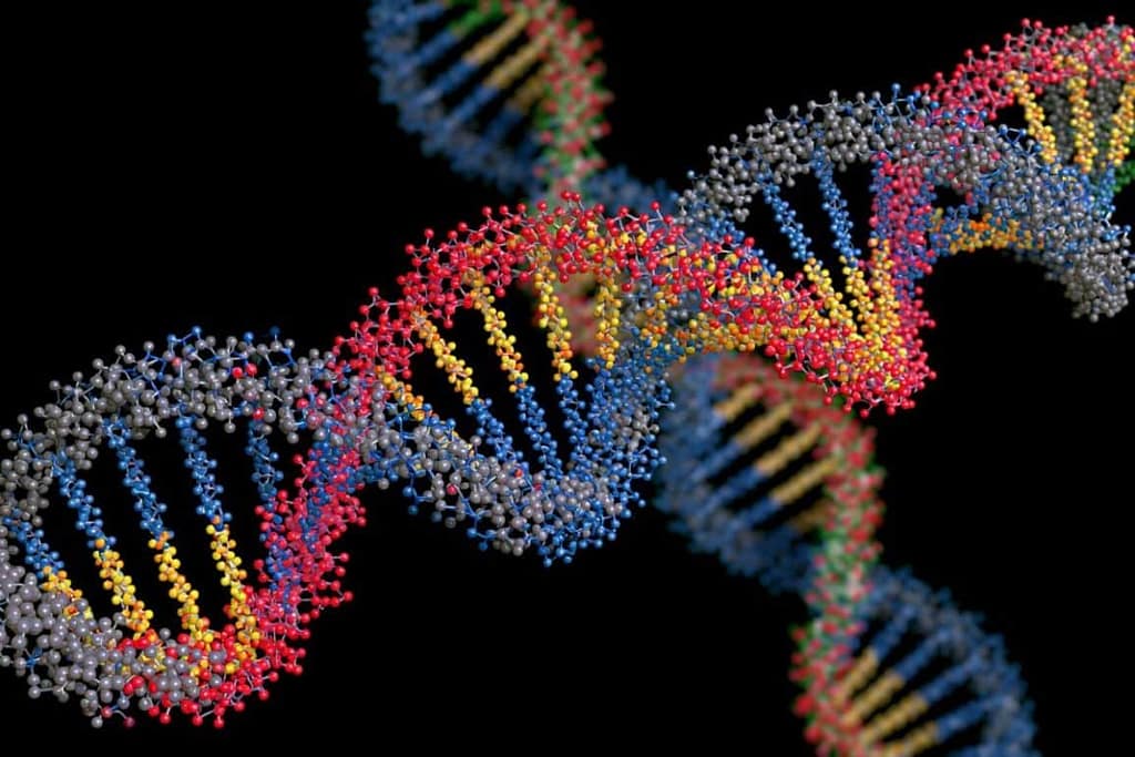 AI Model Predicts Complex DNA Binding ai model predicts complex dna binding