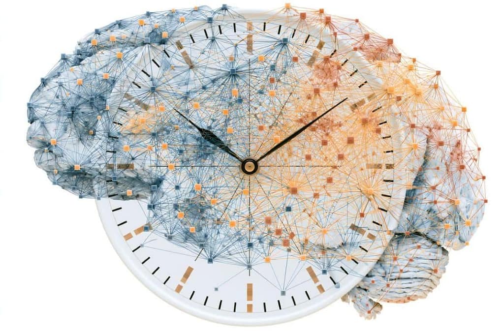 Sparse Neural Connections Balance Cortical Clock Sync and Autonomy sparse neural connections balance cortical clock sync and autonomy