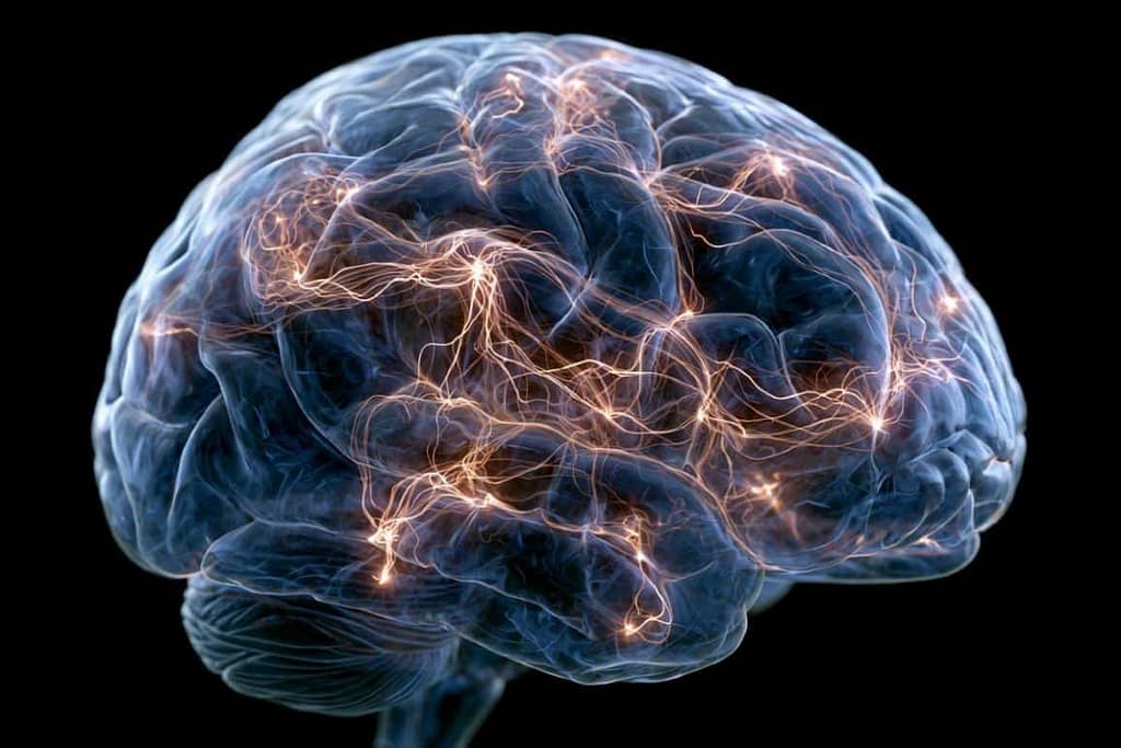 How the Brain Achieves 79% Energy Efficiency how the brain achieves 79% energy efficiency