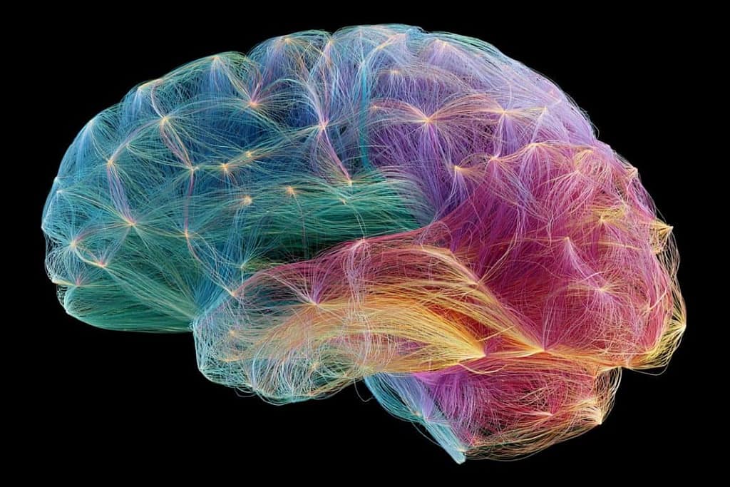 Study Shatters Assumptions About Brain Connectome Dynamics study shatters assumptions about brain connectome dynamics