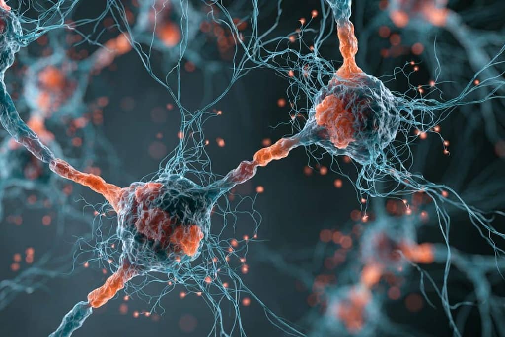 ECT Reprograms Adult Neurons into a Youthful State ect reprograms adult neurons into a youthful state