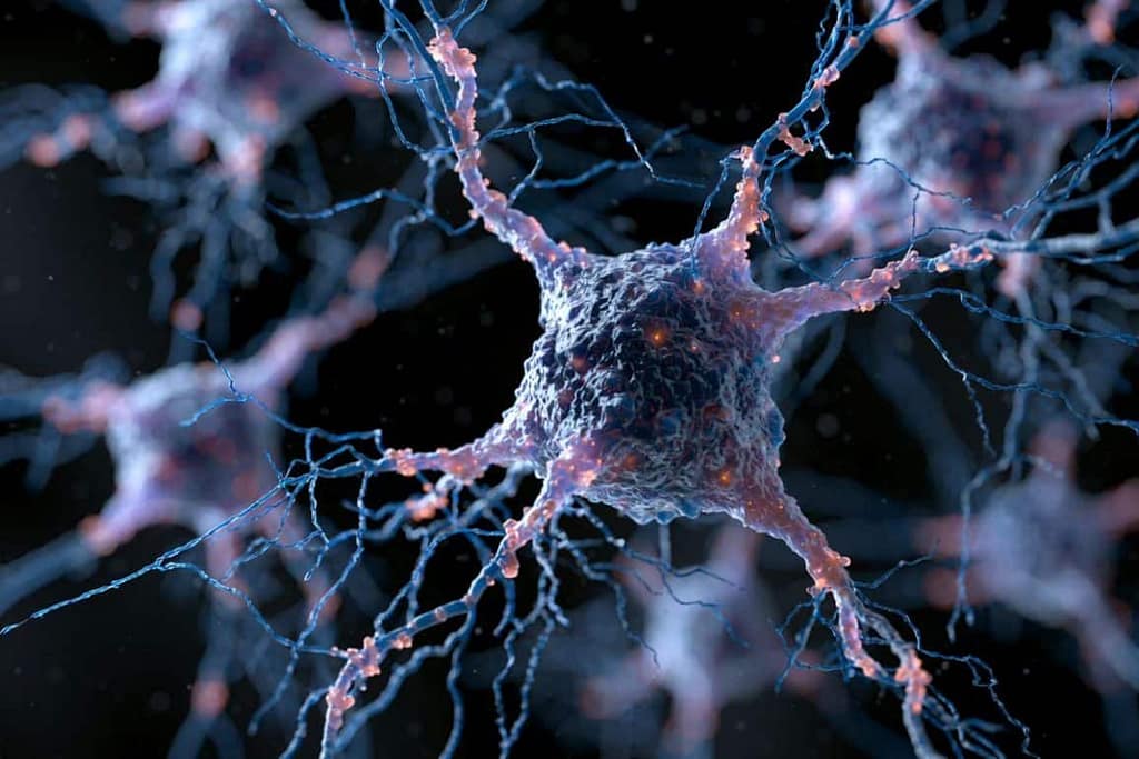 3D Genome Disruption in Alzheimer’s Disease 3d genome disruption in alzheimer’s disease
