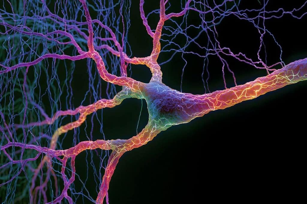 Engineers Redefined Light Delivery to Track Neural Firing engineers redefined light delivery to track neural firing