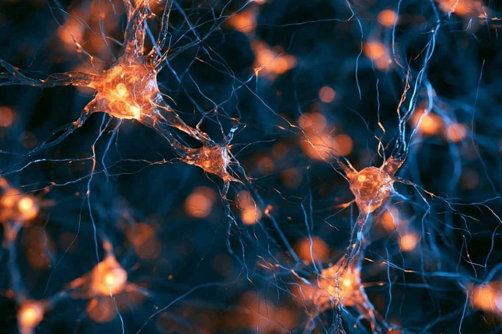 Ketamine Reshapes Neural Networks and Neuroplasticity ketamine reshapes neural networks and neuroplasticity