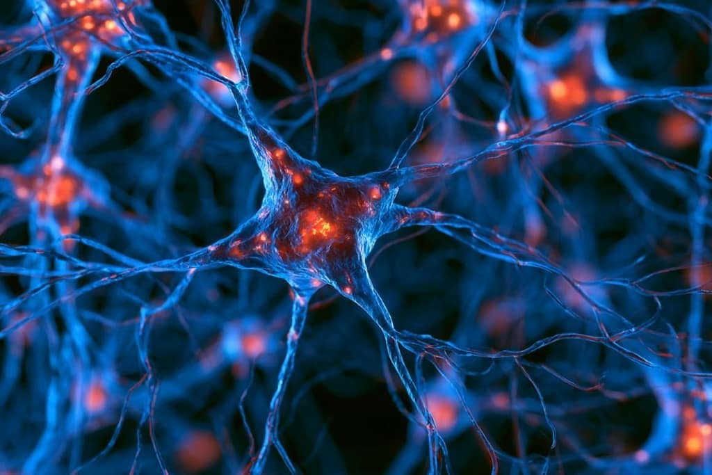 Exercise Shields Dopamine Neurons in Parkinson’s exercise shields dopamine neurons in parkinson’s